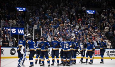 Free Agent Focus: St. Louis Blues