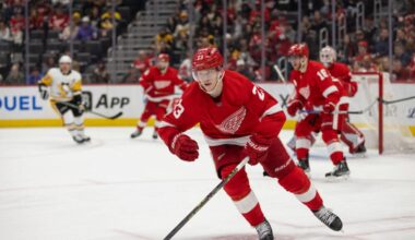 Lucas Raymond, Red Wings