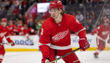 Moritz Seider, Red Wings