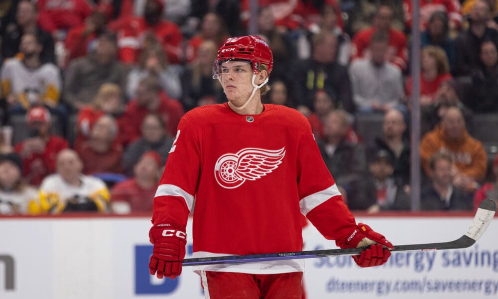 Jonatan Berggren, Red Wings