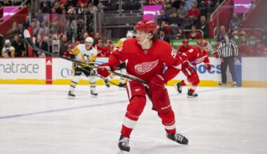 Moritz Seider, Red Wings