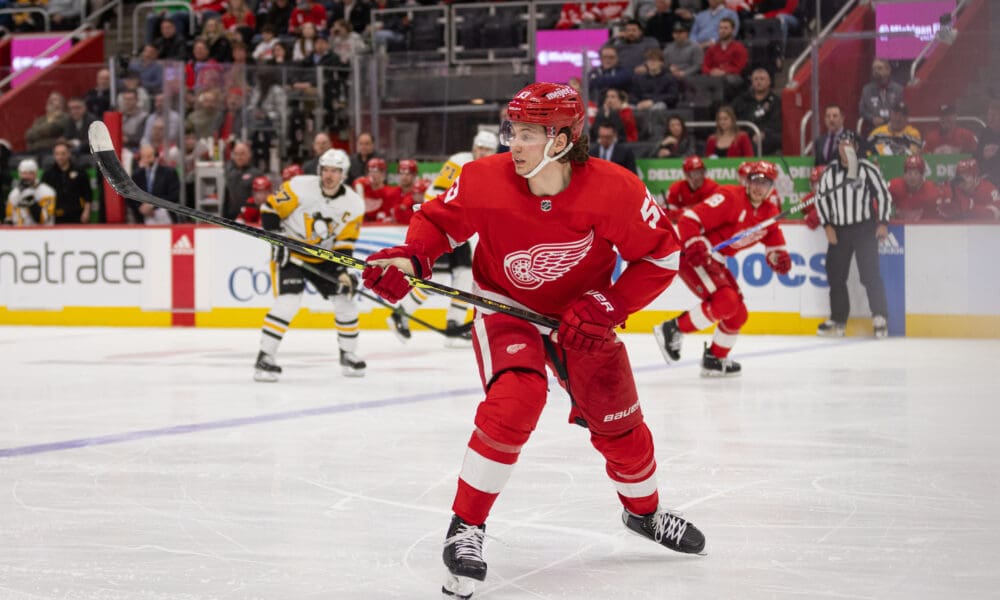 Moritz Seider, Red Wings
