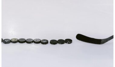 Utah Pro Hockey Team To Play Preseason Game In Southern Idaho