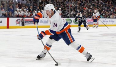 Snapshots: Islanders, Andersson, Hrabal, Jedlicka