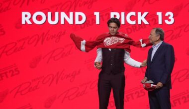 Winger from West St. Paul chosen 13th overall by Detroit Red Wings in NHL draft