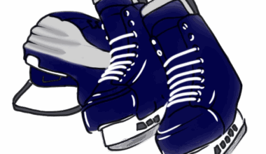 If I Were the NHL Commissioner