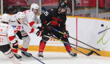 hockey defenseman in black jersey fights two players in white jerseys for control of the puck in a corner of the ice