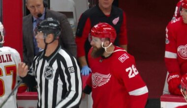 Luke Witkowski, Detroit Red Wings
