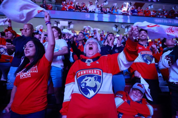 A fan cheers as the Florida Panthers take on the...