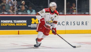 William Lagesson, Red Wings