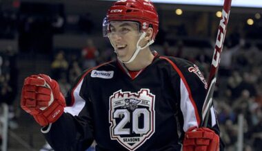 Tomas Nosek, Red Wings