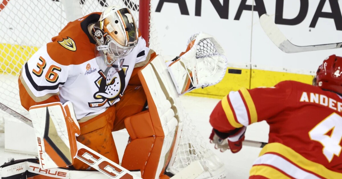Detroit Red Wings trade for Anaheim Ducks goaltender John Gibson
