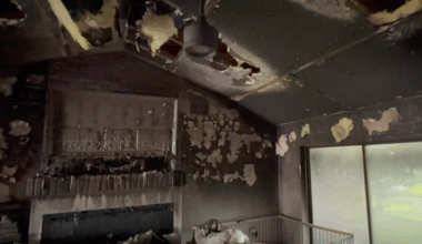 Tampa family loses home and beloved dog to lightning strike