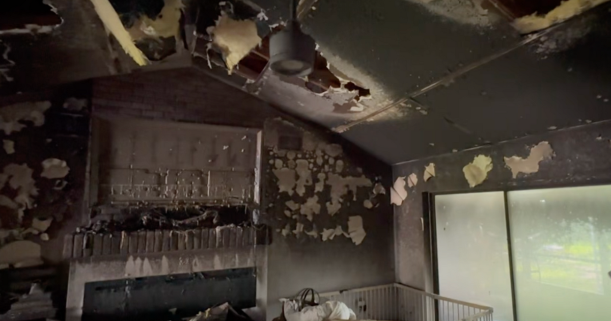 Tampa family loses home and beloved dog to lightning strike