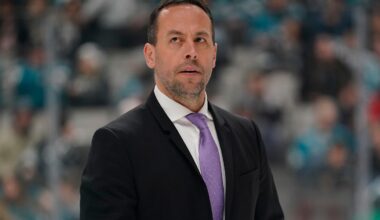 Boston Bruins coach: Marco Sturm takes the reins