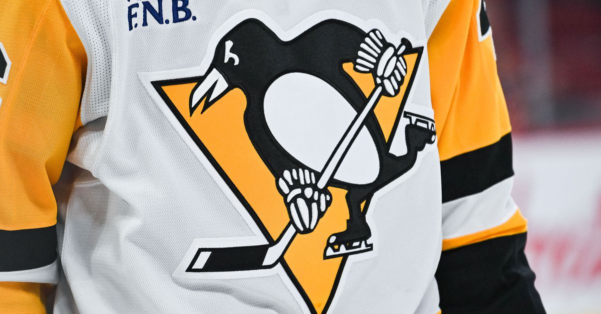 Penguins hold 10 picks as NHL releases official 2025 draft order