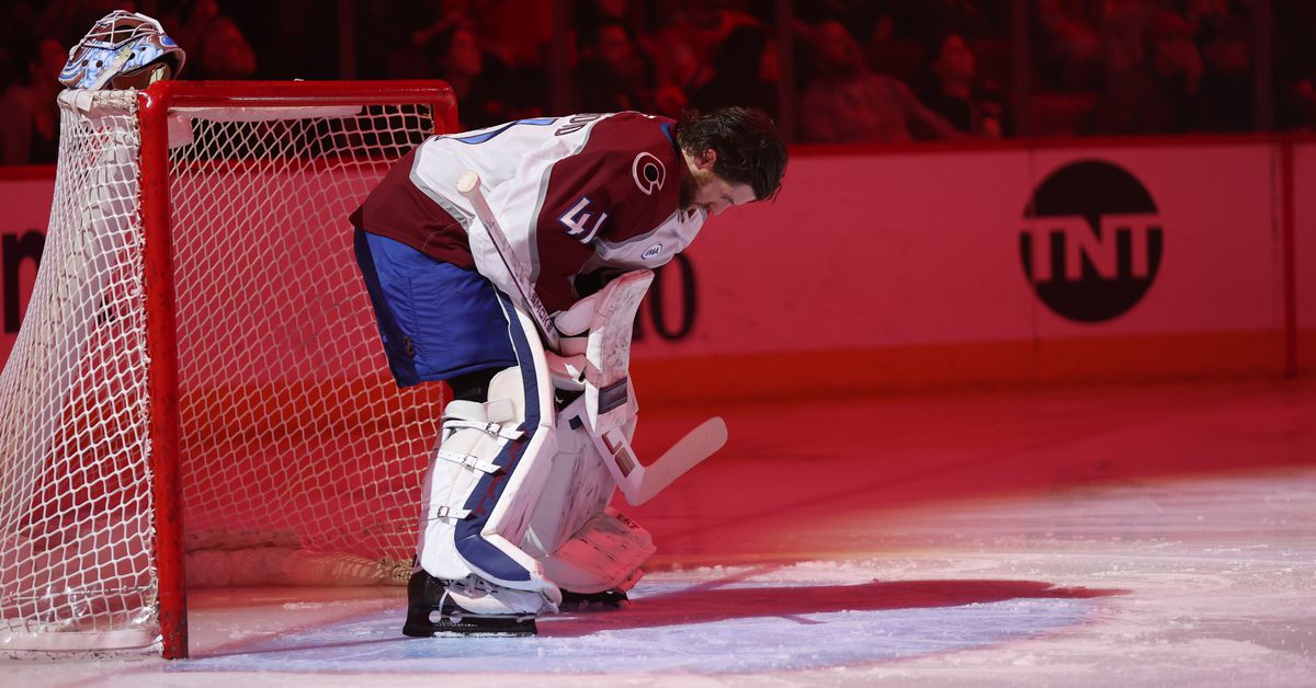 2024-2025 Colorado Avalanche Grades: Goalies