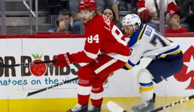 Red Wings Sign William Lagesson To Two-Year Extension