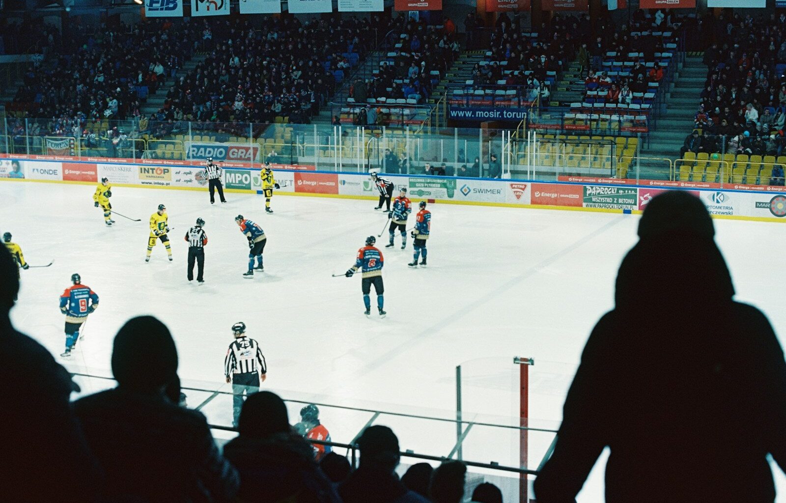 Utah Grizzlies start searching for a new den.