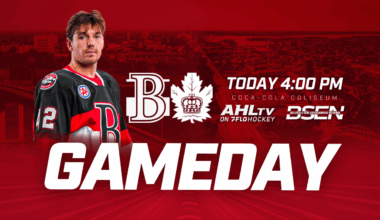 Sens continue playoff push in Toronto – Belleville Sens