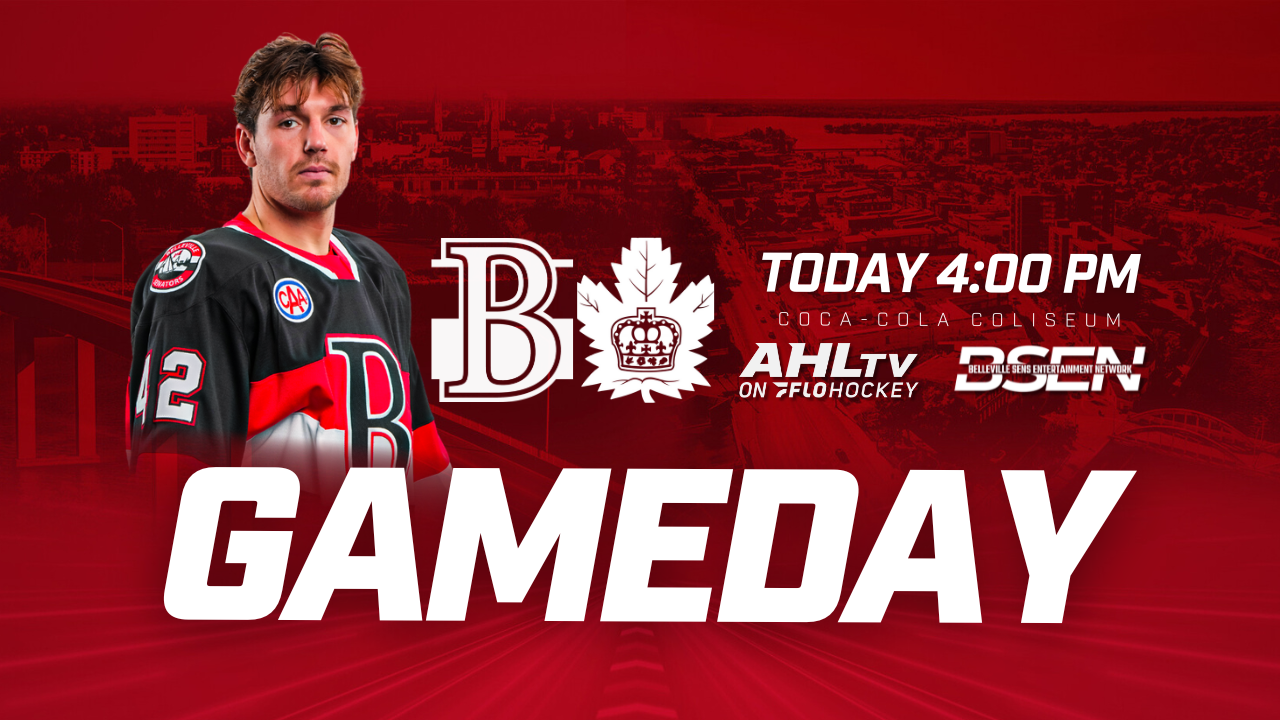 Sens continue playoff push in Toronto – Belleville Sens