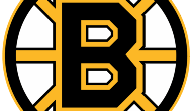 Boston Bruins