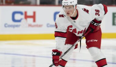 Hurricanes Sign Noel Gunler and Gavin Bayreuther for Team Depth