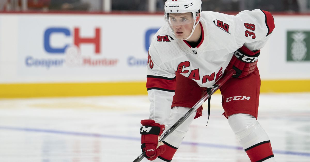 Hurricanes Sign Noel Gunler and Gavin Bayreuther for Team Depth