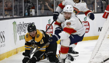 Cup-Winning Center Back to Minnesota Wild