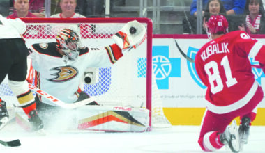 Wings acquire Ducks’ goalie Gibson in trade | News, Sports, Jobs