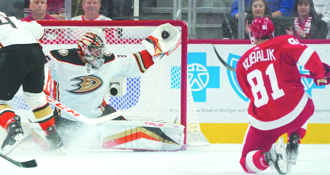 Wings acquire Ducks’ goalie Gibson in trade | News, Sports, Jobs