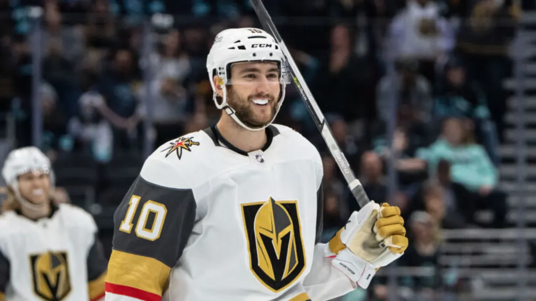 Comments Made by the Newly-Acquired Nicolas Roy Should Excite Maple Leafs Fans