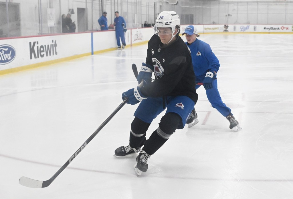 Avalanche's Francesco Dell'Elce finally has a destination for his NHL dream