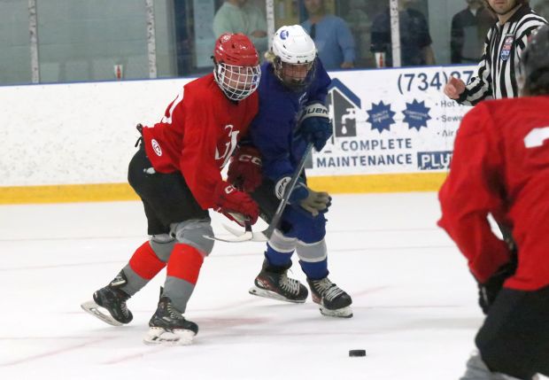 The Grosse Ile ice hockey team, red, squared off with...