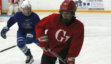 Ice Hockey – Summer League w/ Grosse Ile and Brownstown Woodhaven – The News Herald