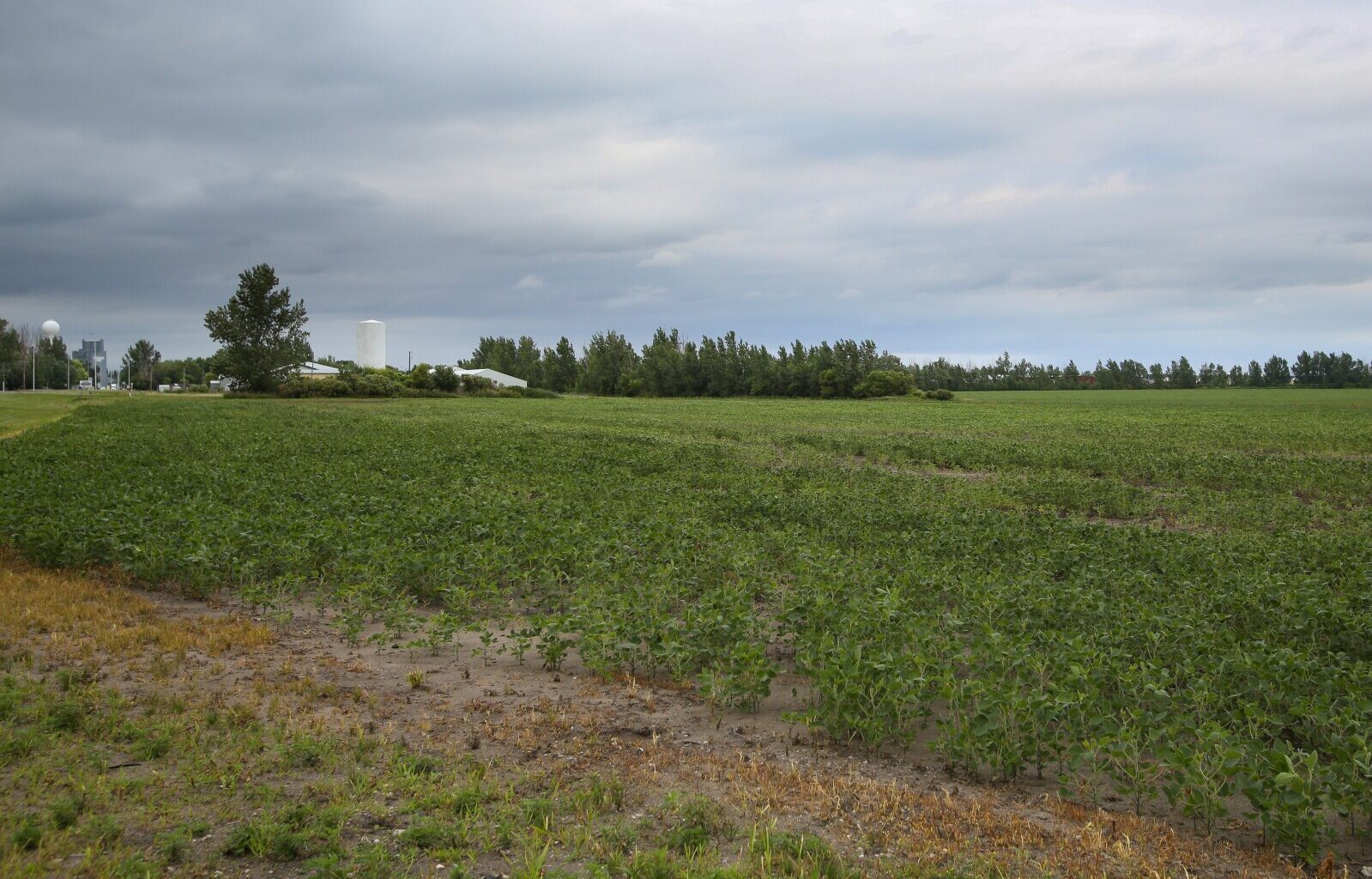 West Fargo Hockey Association takes additional ice plans to Horace - InForum