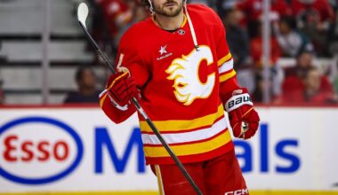 Flames' Andersson Will Look For Team To Showcase Talent Next Season