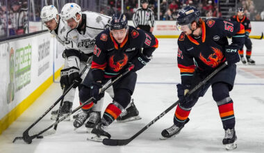 Download app from appStore