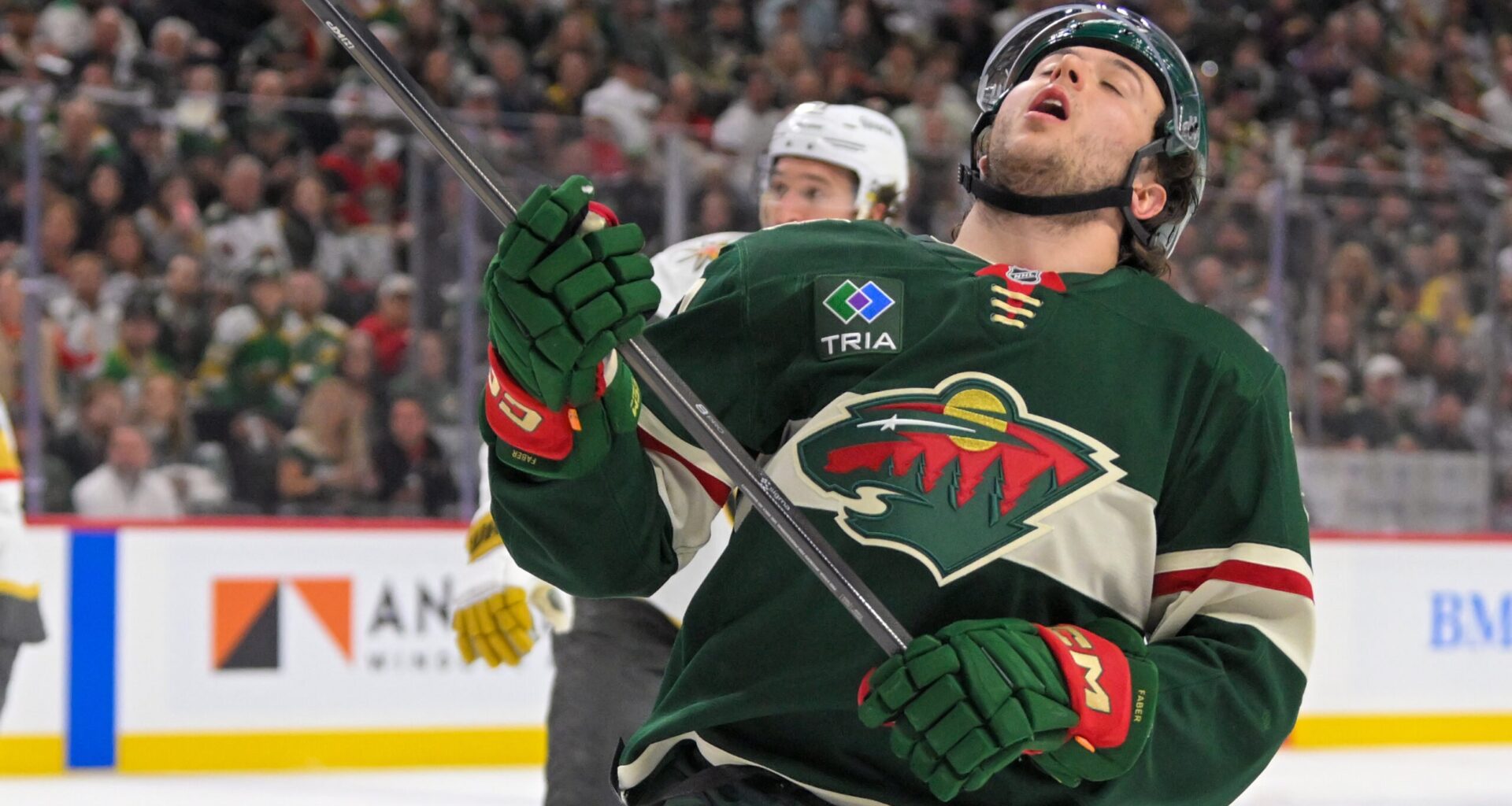 MN Wild TV Broadcast Ranked Embarrassingly Low