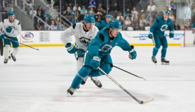 San Jose Barracuda | NOLLY'S NOTES: SUMMER CAMP