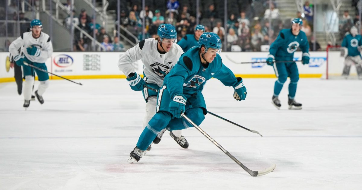 San Jose Barracuda | NOLLY'S NOTES: SUMMER CAMP