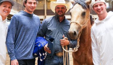 Here's why a horse was randomly at Toronto Maple Leafs prospect practice