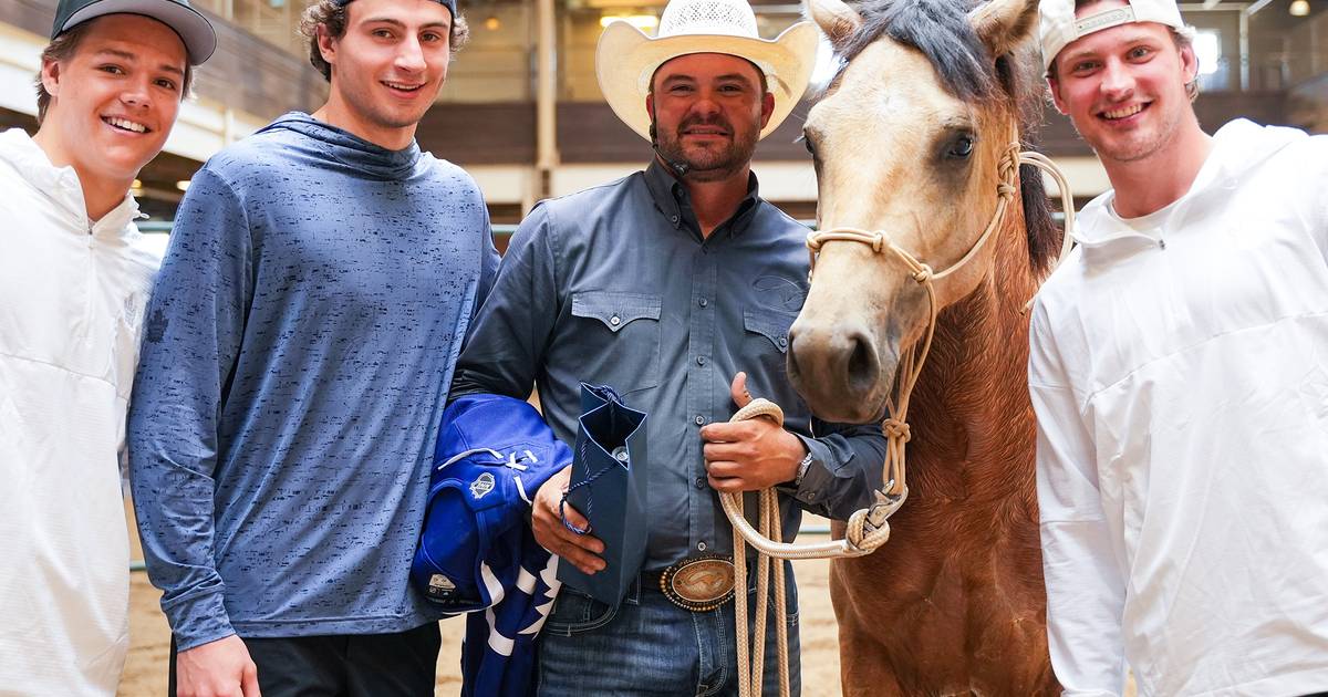 Here's why a horse was randomly at Toronto Maple Leafs prospect practice