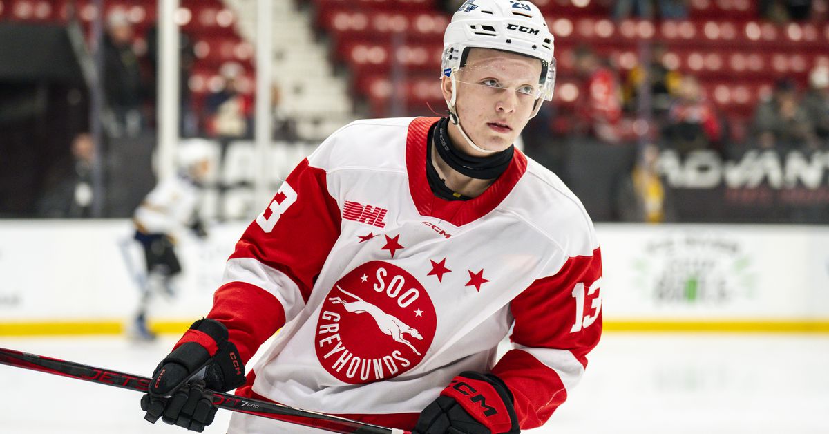 Pensburgh Top 25 Under 25: No. 23 - Travis Hayes