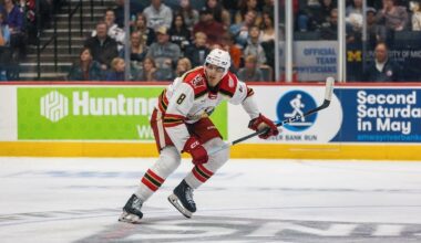 Shai Buium, Red Wings prospect