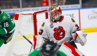 Rockford IceHogs | IceHogs Halted by Stars at Home 4-1