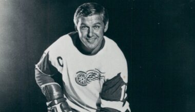 Everything to know about Detroit Red Wings icon