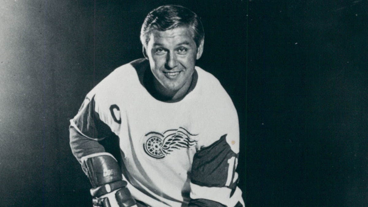 Everything to know about Detroit Red Wings icon