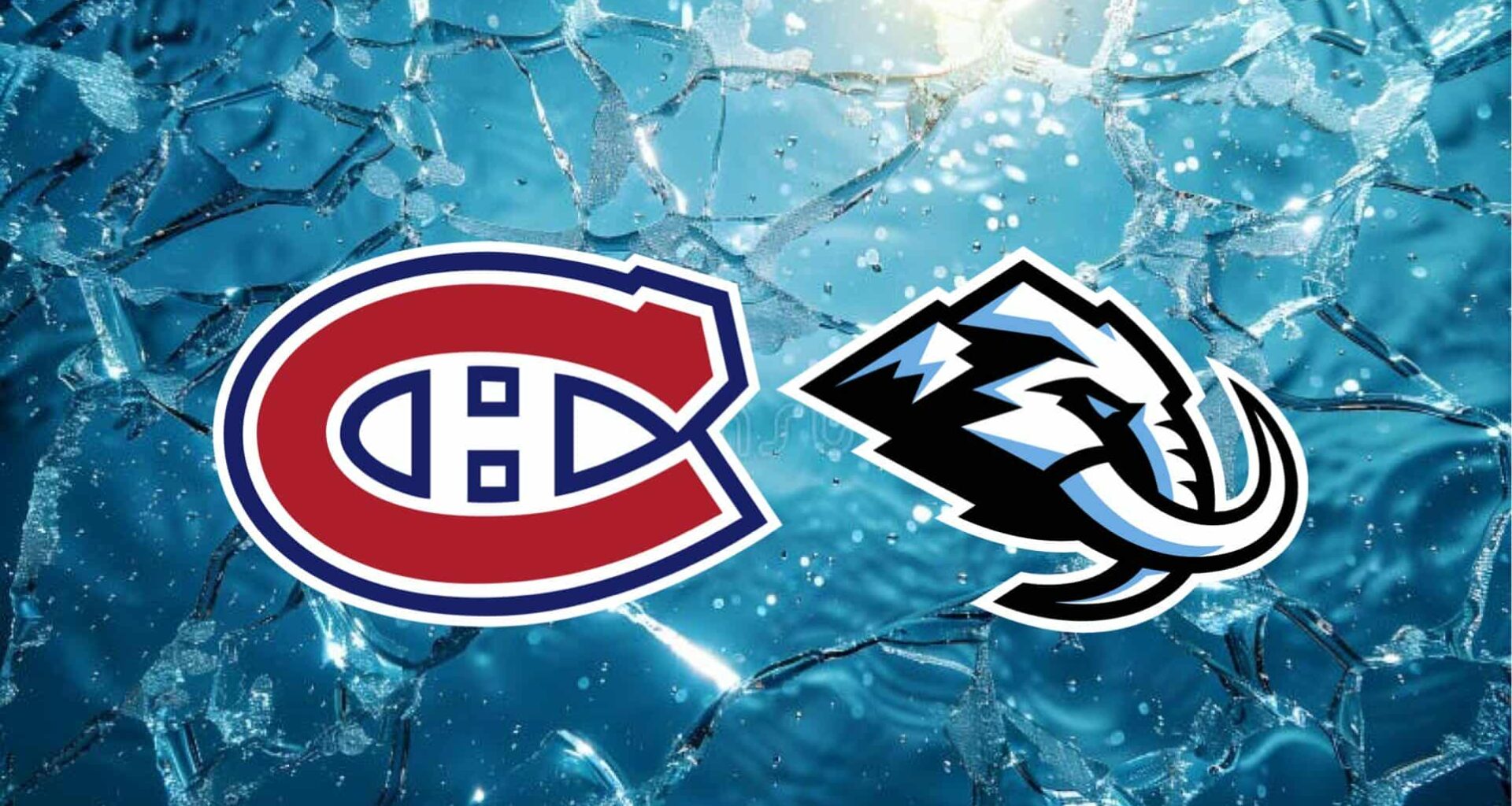 Nick Suzuki Posts Curious Photo With Utah Mammoth Player, Fueling Canadiens Speculation