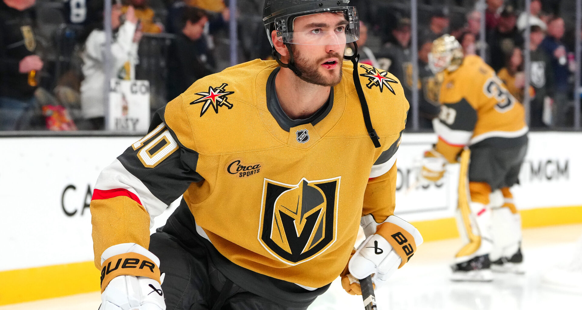 Bruce Cassidy Reveals What Nicolas Roy Will Bring to the Maple Leafs, Fans Should Take Notice